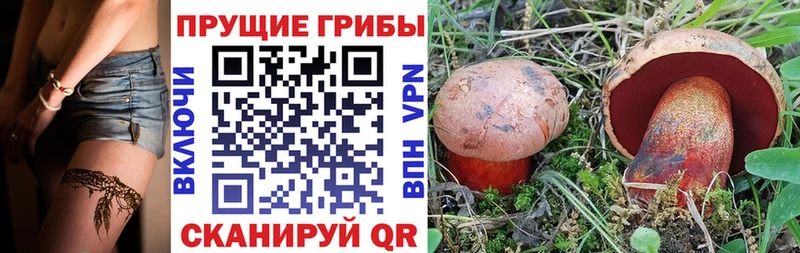 сколько стоит  Березники  Псилоцибиновые грибы GOLDEN TEACHER 